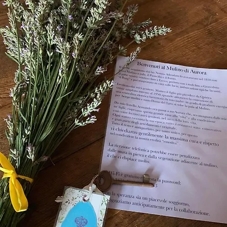 לינה וארוחת בוקר Il Mulino Di Aurora Dosso del Liro