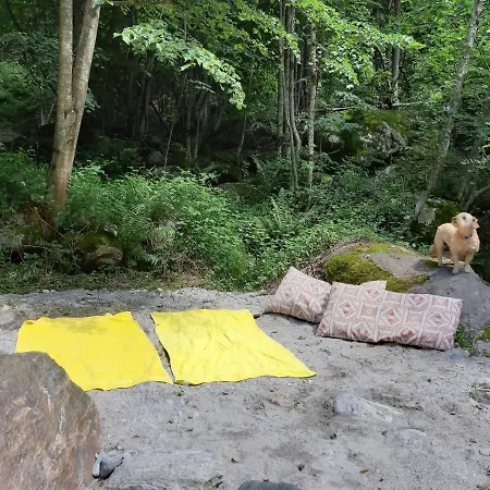 לינה וארוחת בוקר Il Mulino Di Aurora 3*