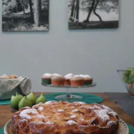 לינה וארוחת בוקר Il Mulino Di Aurora Dosso del Liro