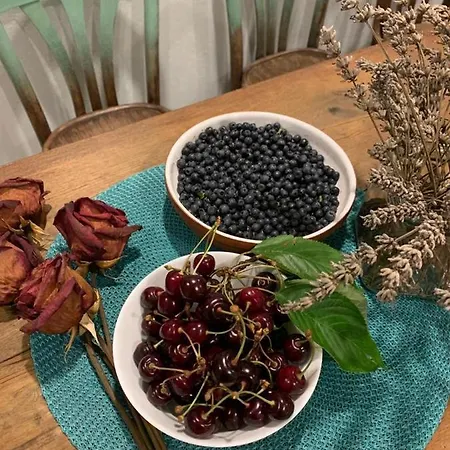 לינה וארוחת בוקר Il Mulino Di Aurora Dosso del Liro