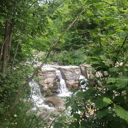 Il Mulino Di Aurora Dosso del Liro