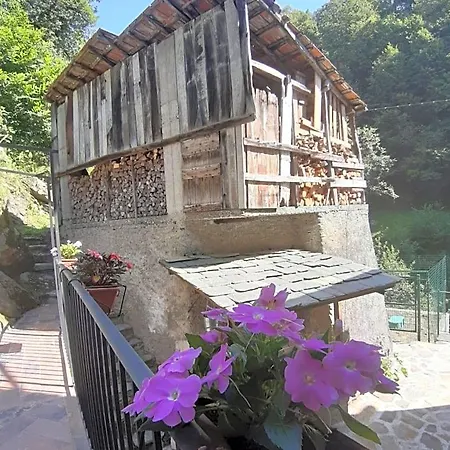 Bed & Breakfast Il Mulino Di Aurora