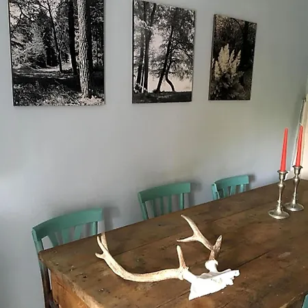 Bed & Breakfast Il Mulino Di Aurora 3*