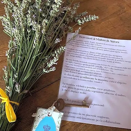 Il Mulino Di Aurora 3* Dosso del Liro