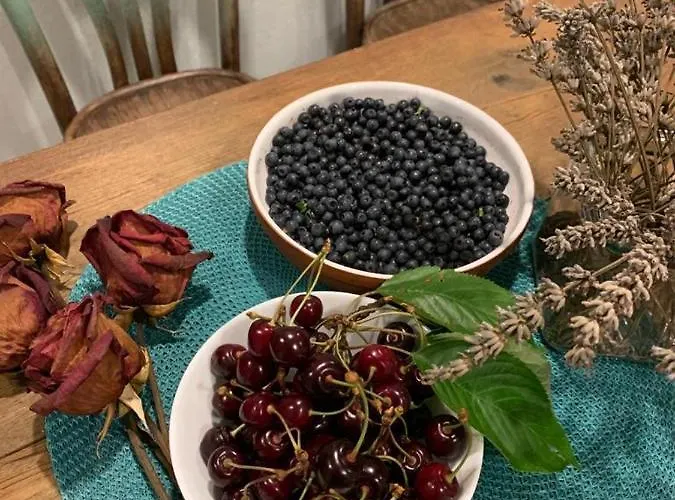 ベッド・アンド・ブレックファスト Il Mulino Di Aurora Dosso del Liro