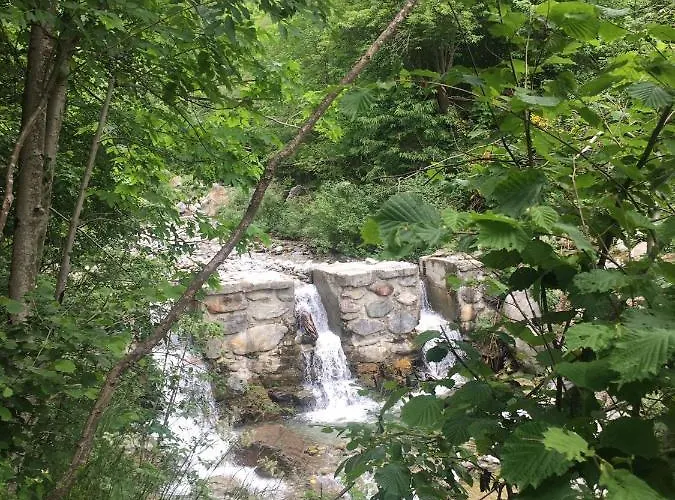 Il Mulino Di Aurora Dosso del Liro