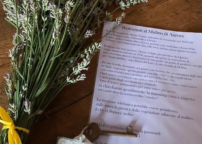 ベッド・アンド・ブレックファスト Il Mulino Di Aurora Dosso del Liro